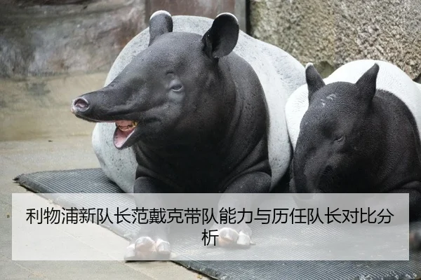 利物浦新队长范戴克带队能力与历任队长对比分析